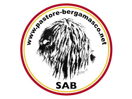 Da oggi è disponibile il Canale WhatsApp ufficiale della SAB! Da oggi è disponibile il Canale WhatsApp ufficiale della SAB!